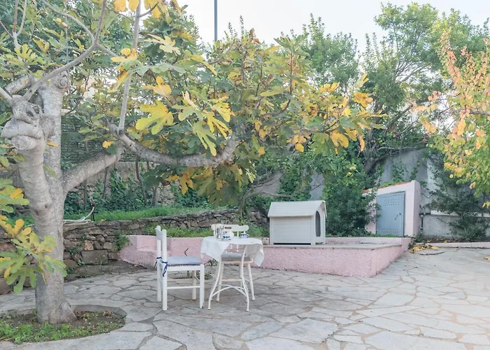 Rosa Sul Mare Casa vacanze Olbia