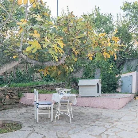 Rosa Sul Mare Casa vacanze Olbia