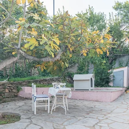 Rosa Sul Mare Holiday home Olbia