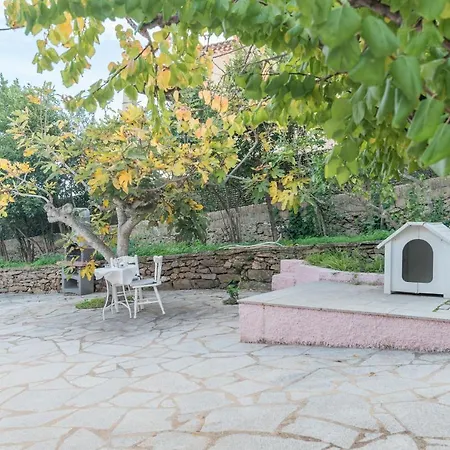 Rosa Sul Mare Holiday home Olbia