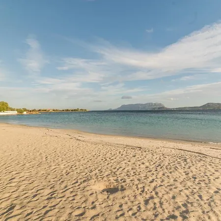 Rosa Sul Mare Casa vacanze Olbia