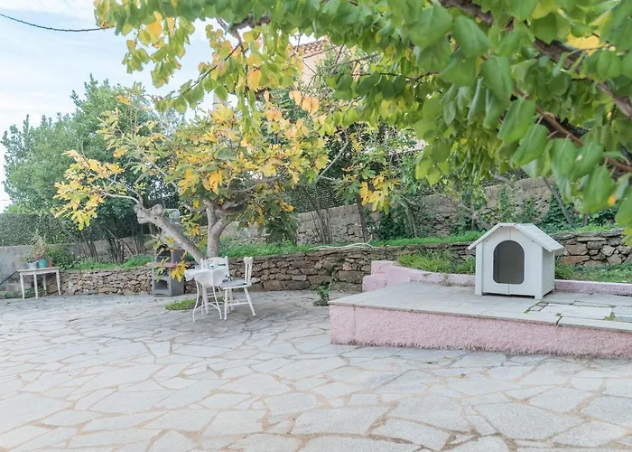 Rosa Sul Mare Holiday home Olbia