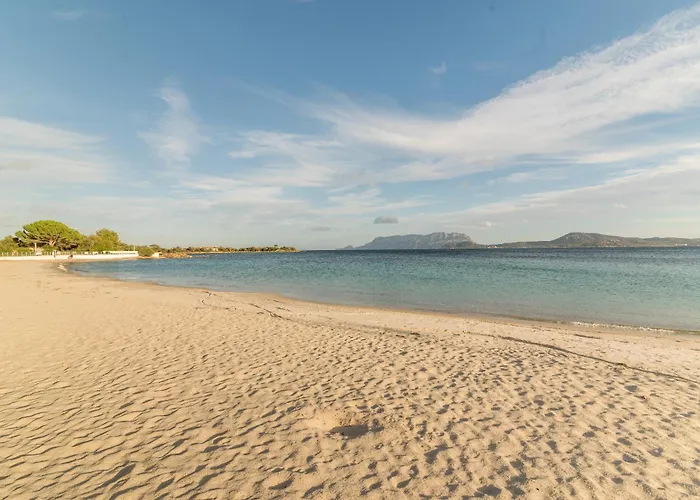 Rosa Sul Mare Holiday home